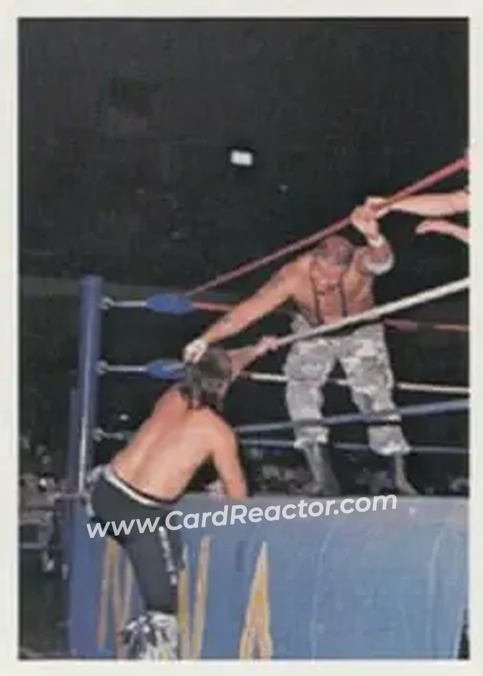 1988 Wonderama NWA #326 - Luke Williams