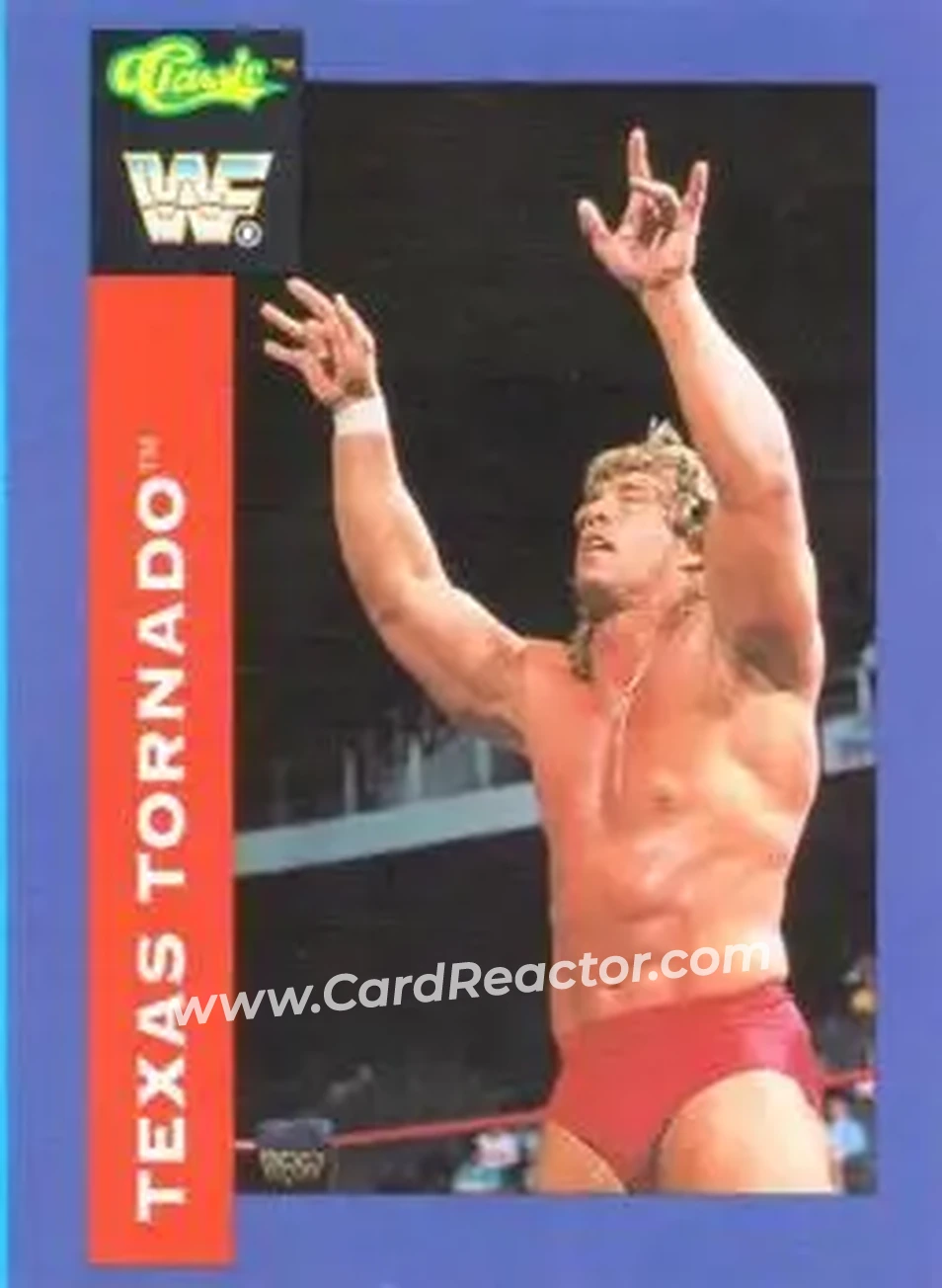 1991 Classic WWF Superstars #133 - Kerry Von Erich