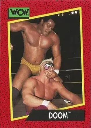 1991 Impel WCW #143 - Card #143