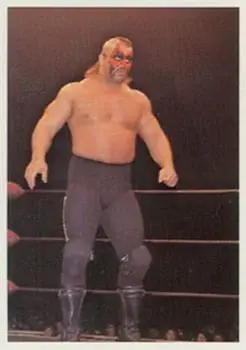 1988 Wonderama NWA #327 - Road Warrior Animal - Front