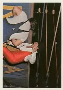 1988 Wonderama NWA #330 - Paul Jones