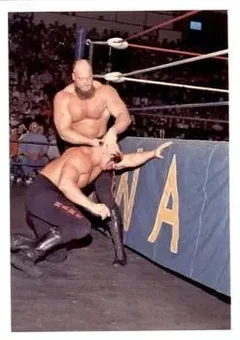 1988 Wonderama NWA #333 - Card #333