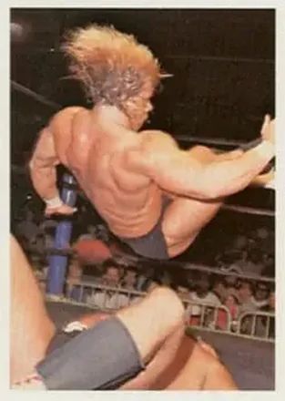 1988 Wonderama NWA #337 - Lex Luger 1988 Wonderama NWA #337 - Lex Luger