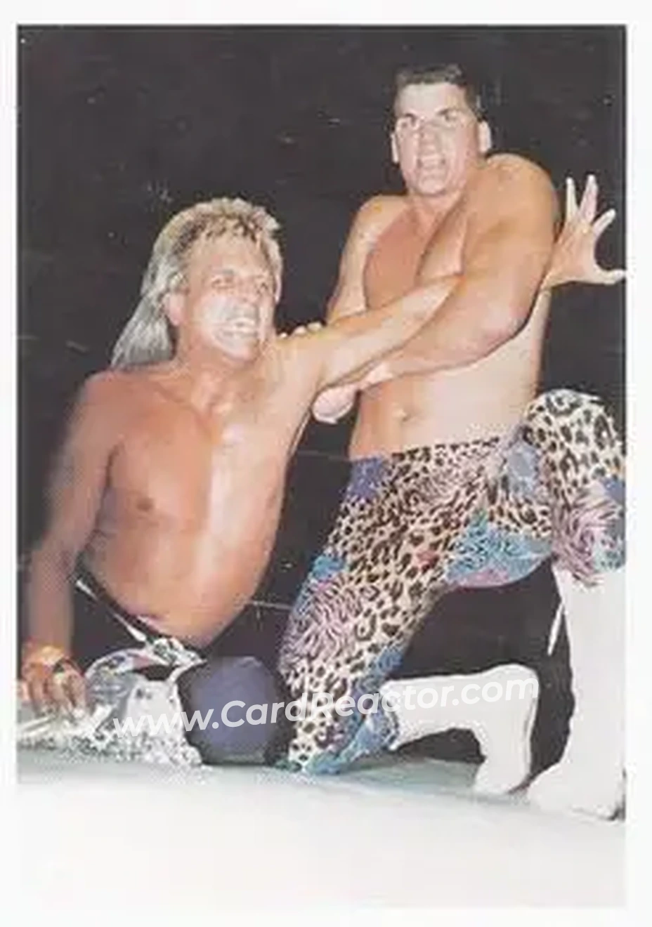 1988 Wonderama NWA #338 - Sean Royal