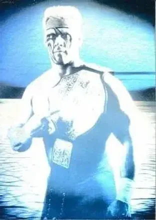 1991 Impel WCW #NNO - Sting