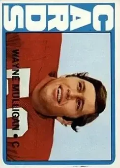1972 Topps #236 - Wayne Mulligan - St. Louis Cardinals