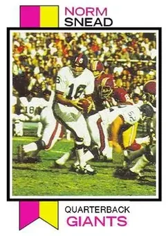 1973 Topps #515 - Norm Snead - New York Giants