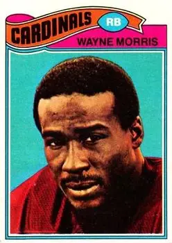 1977 Topps #141 - Wayne Morris - St. Louis Cardinals