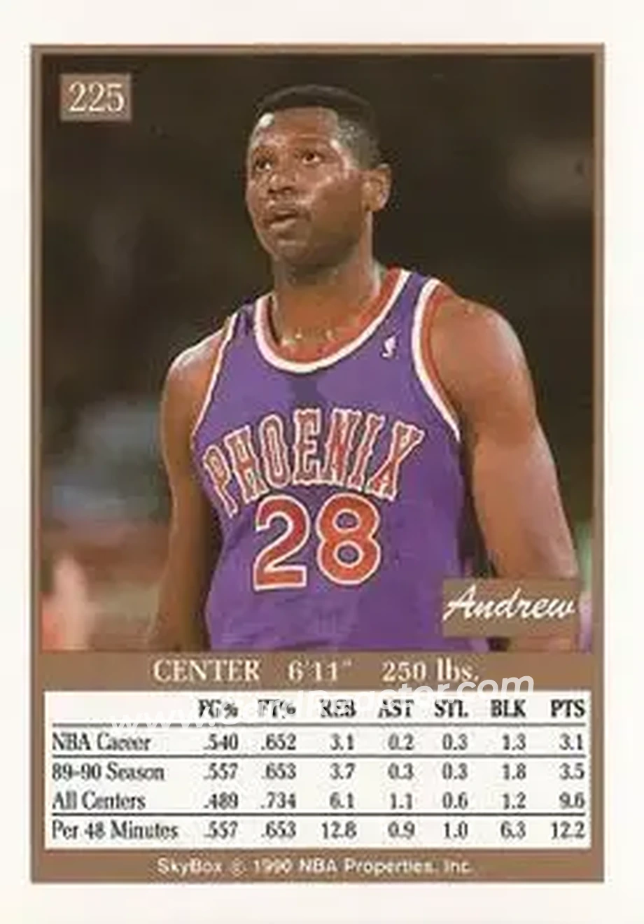1990-91 SkyBox #225 - Andrew Lang - Phoenix Suns - Back