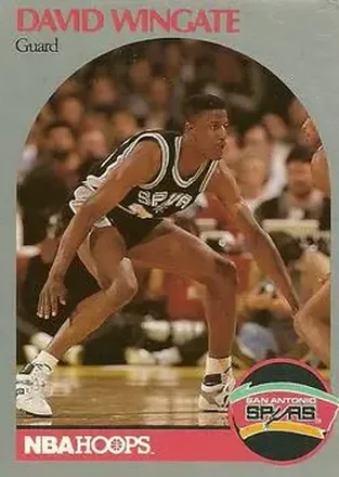 1990-91 Hoops #273 - David Wingate - San Antonio Spurs