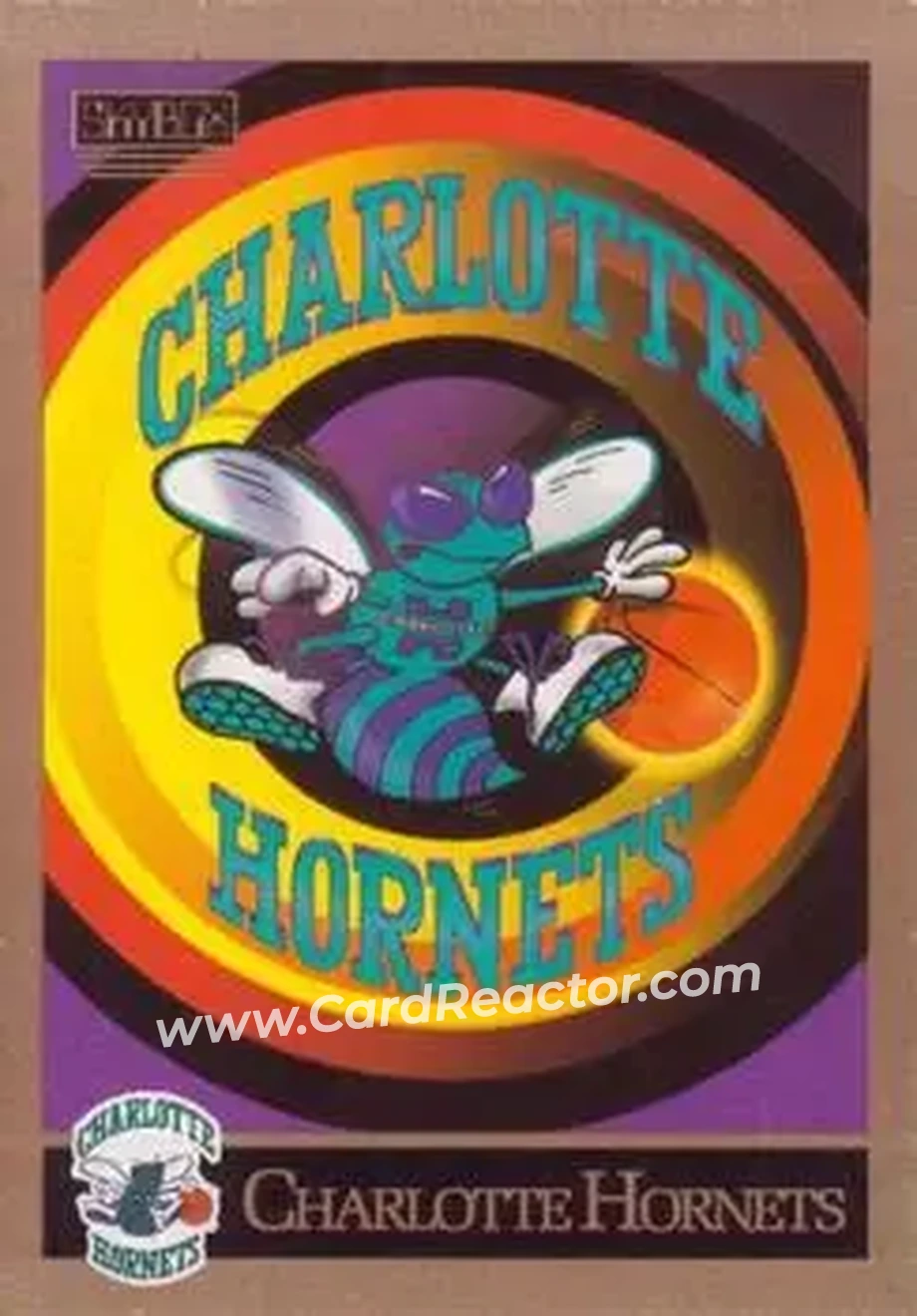 1990-91 SkyBox #330 - Card #330 - Charlotte Hornets - Front