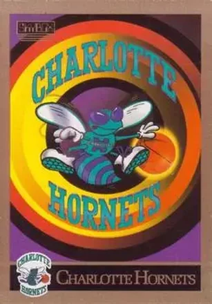 1990-91 SkyBox #330 - Card #330 - Charlotte Hornets