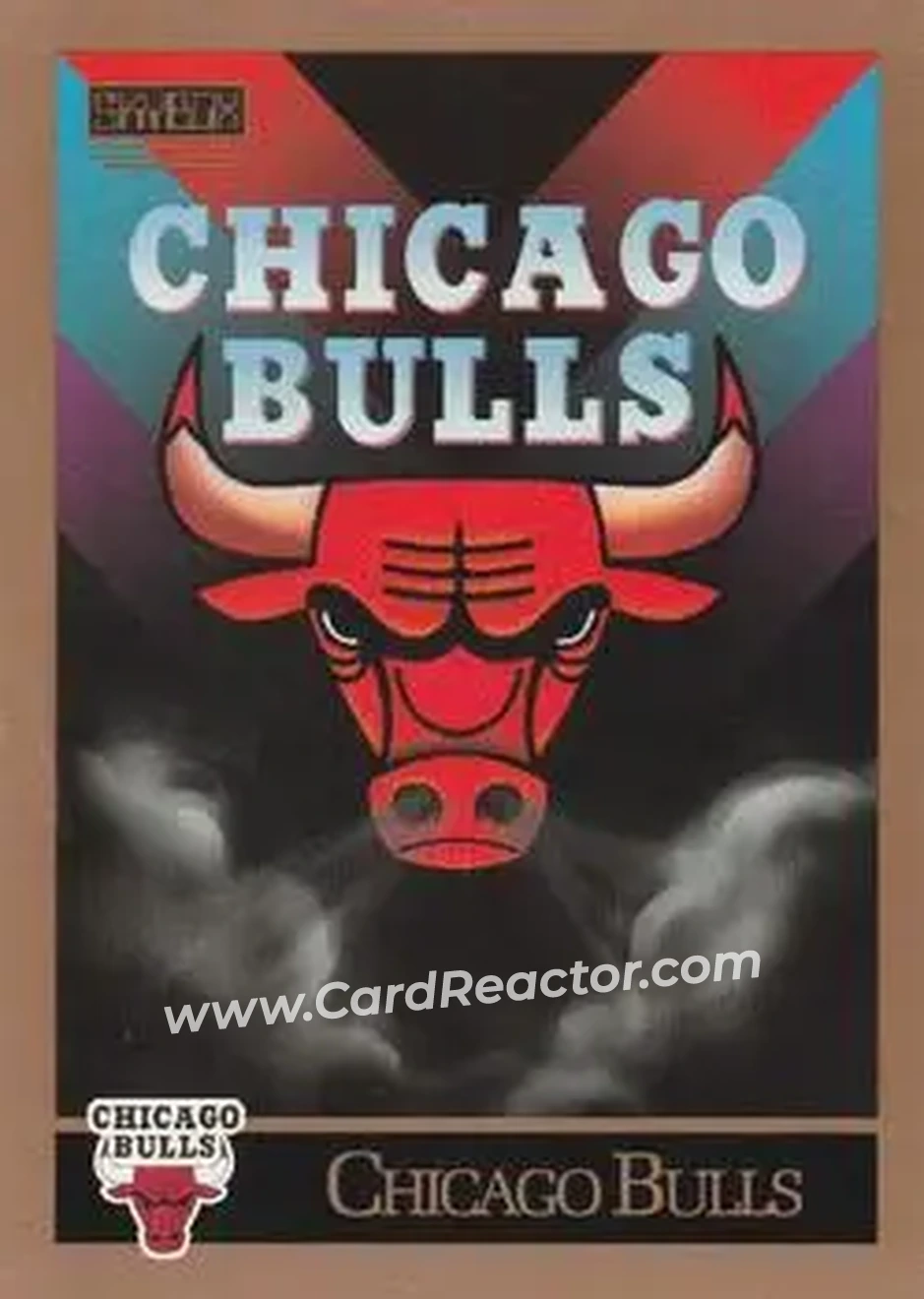 1990-91 SkyBox #331 - Card #331 - Chicago Bulls - Front