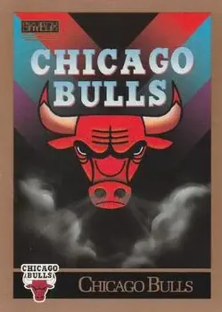 1990-91 SkyBox #331 - Card #331 - Chicago Bulls