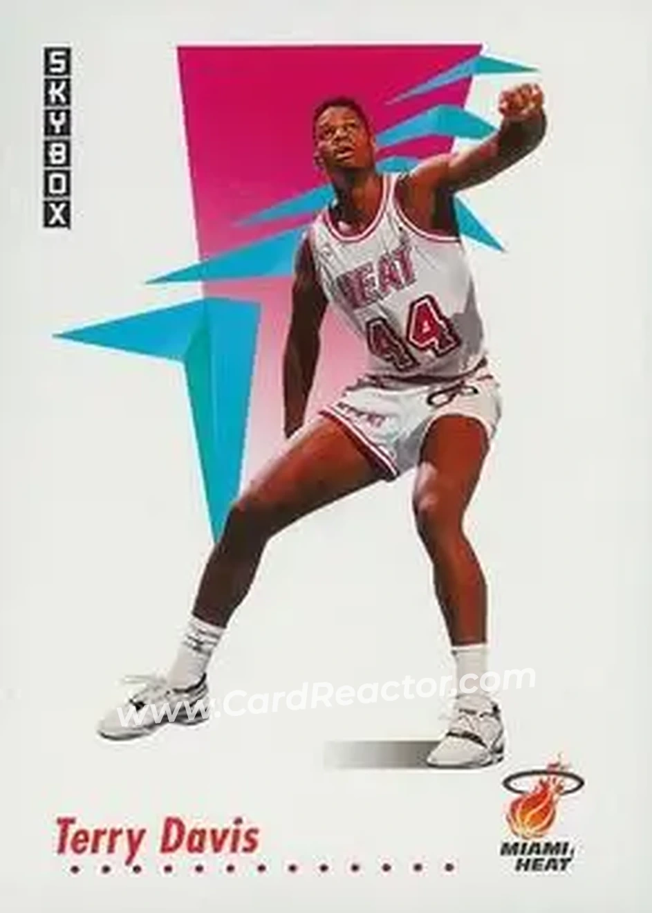 1991-92 SkyBox #146 - Terry Davis - Miami Heat - Front