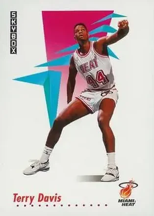 1991-92 SkyBox #146 - Terry Davis - Miami Heat
