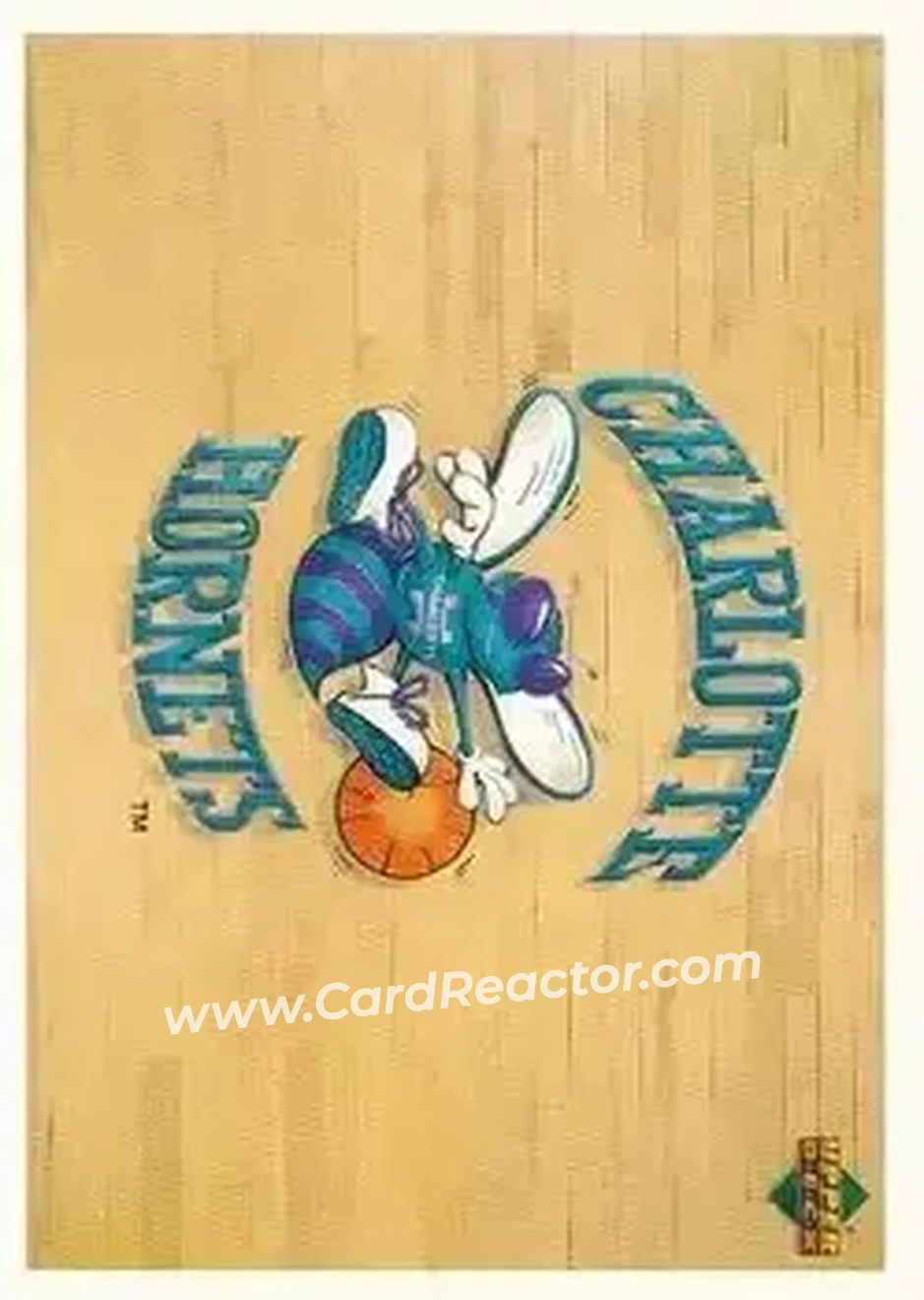 1991-92 Upper Deck Spanish #133 - Card #133 - Charlotte Hornets - Front 1991-92 Upper Deck Spanish #133 - Card #133 - Charlotte Hornets - Front