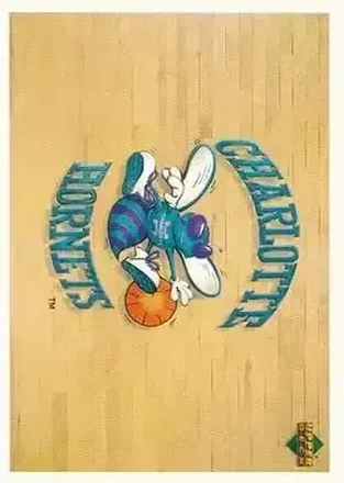 1991-92 Upper Deck Spanish #133 - Card #133 - Charlotte Hornets