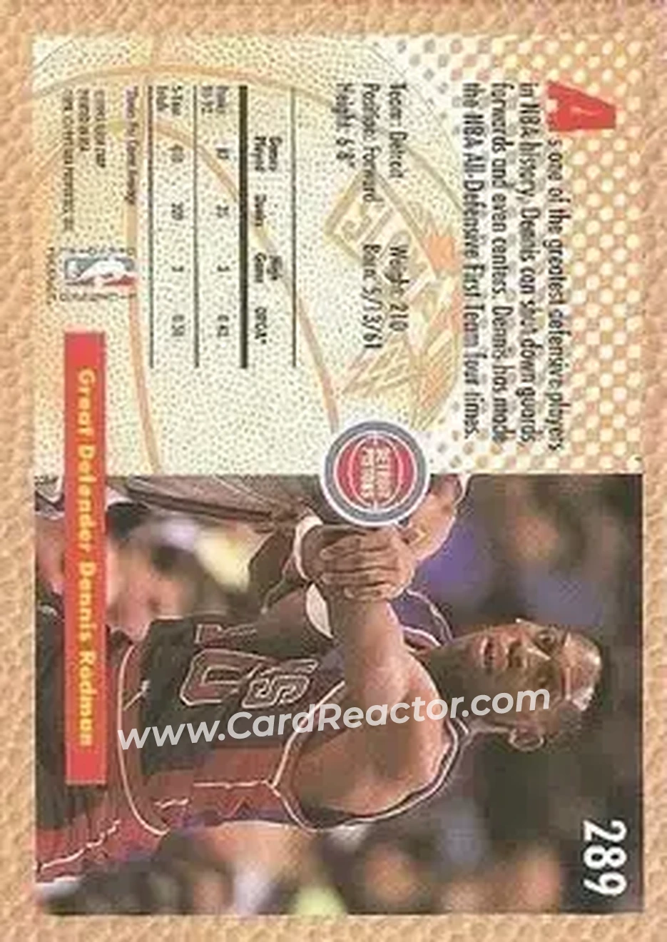 1992-93 Fleer #289 - Dennis Rodman - Detroit Pistons - Back 1992-93 Fleer #289 - Dennis Rodman - Detroit Pistons - Back