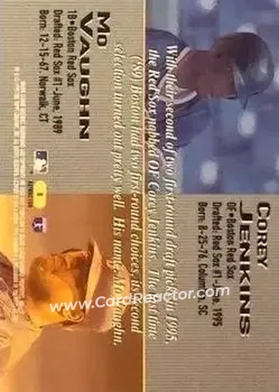 1995 Bowman's Best - Refractors #8 - Card #8 - Boston Red Sox - Back 1995 Bowman's Best - Refractors #8 - Card #8 - Boston Red Sox - Back
