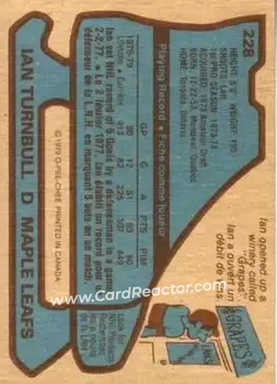 1979-80 O-Pee-Chee #228 - Ian Turnbull - Toronto Maple Leafs - Back