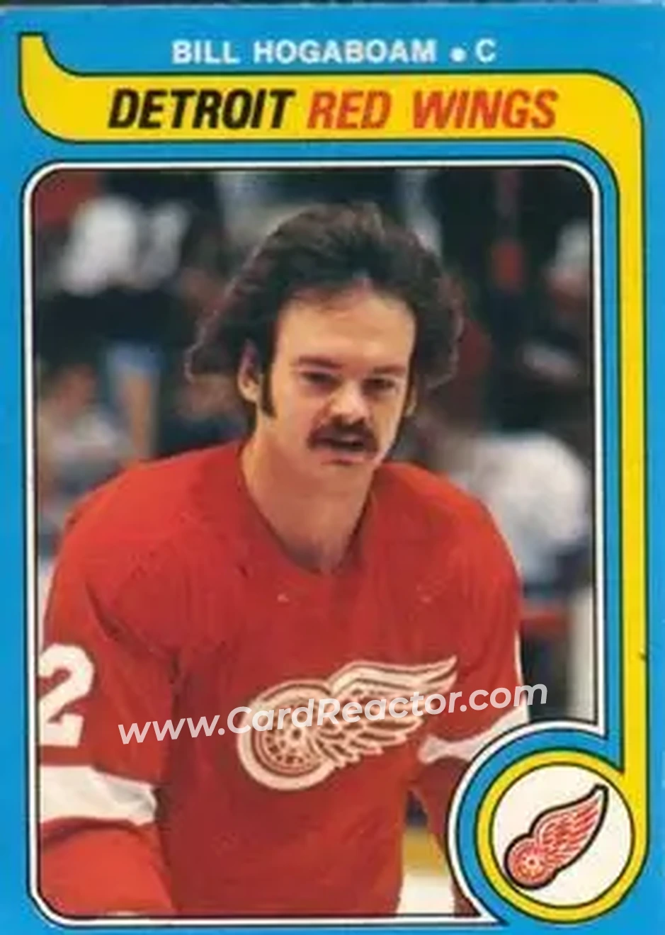 1979-80 O-Pee-Chee #362 - Bill Hogaboam - Detroit Red Wings - Front