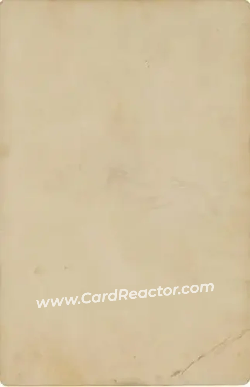 1882 Sarony Studio Cabinet #NNO - Card #NNO - New York Metropolitans - Back