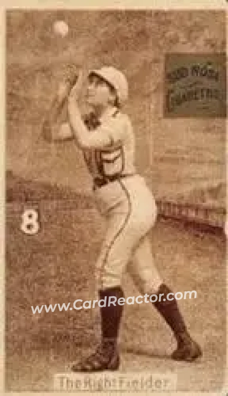 1886 Sub Rosa (N508) #8 - Card #8 - Front