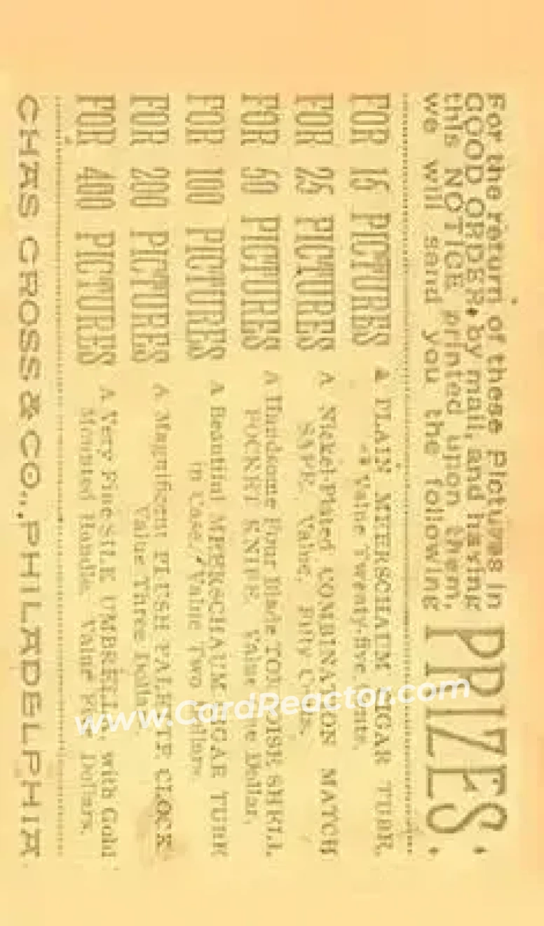 1887 Kalamazoo Bats (N690) #NNO - Ed Andrews - Philadelphia Quakers - Back