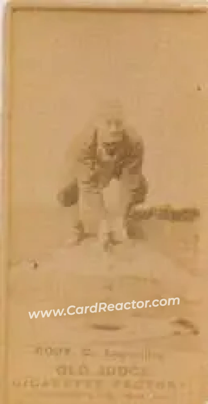1887-90 Old Judge (N172) #NNO - Paul Cook - Louisville Colonels
