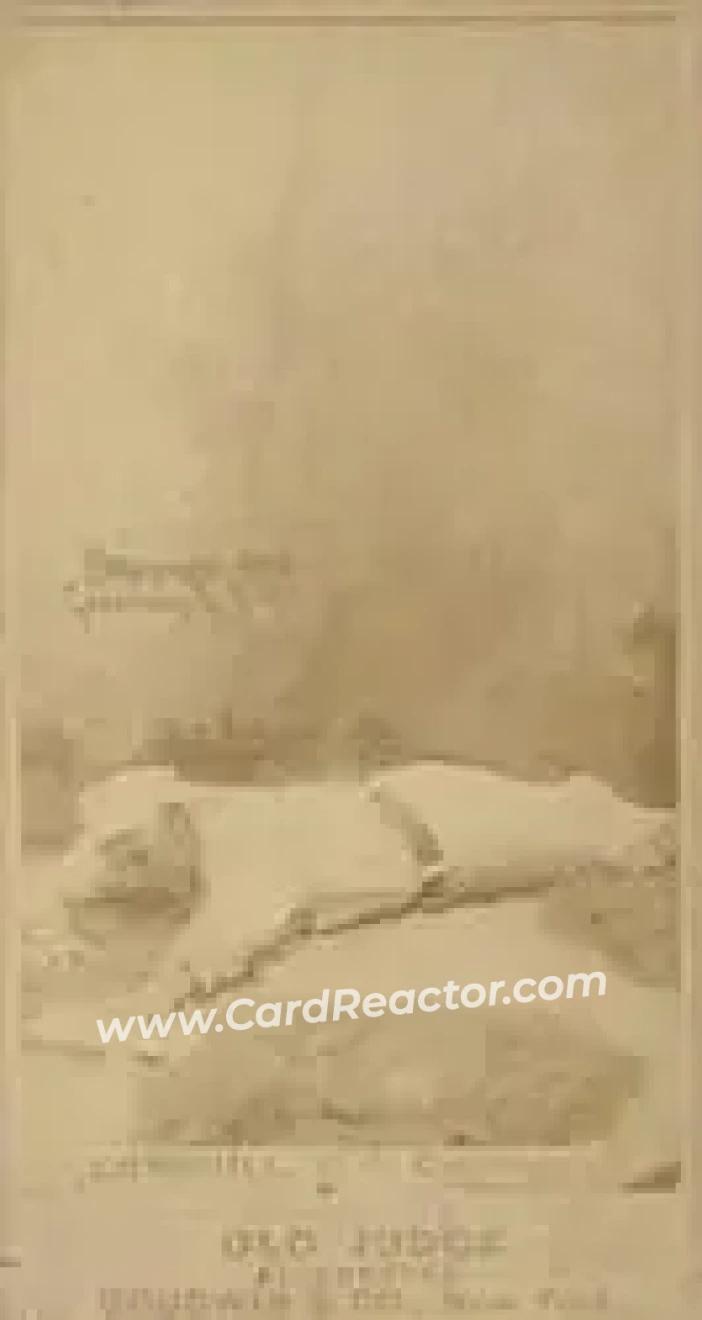 1887-90 Old Judge (N172) #NNO - John Corkhill - Cincinnati Red Stockings