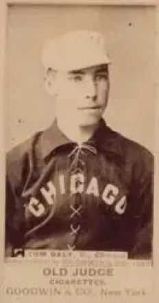 1887-90 Old Judge (N172) #NNO Tom Daly