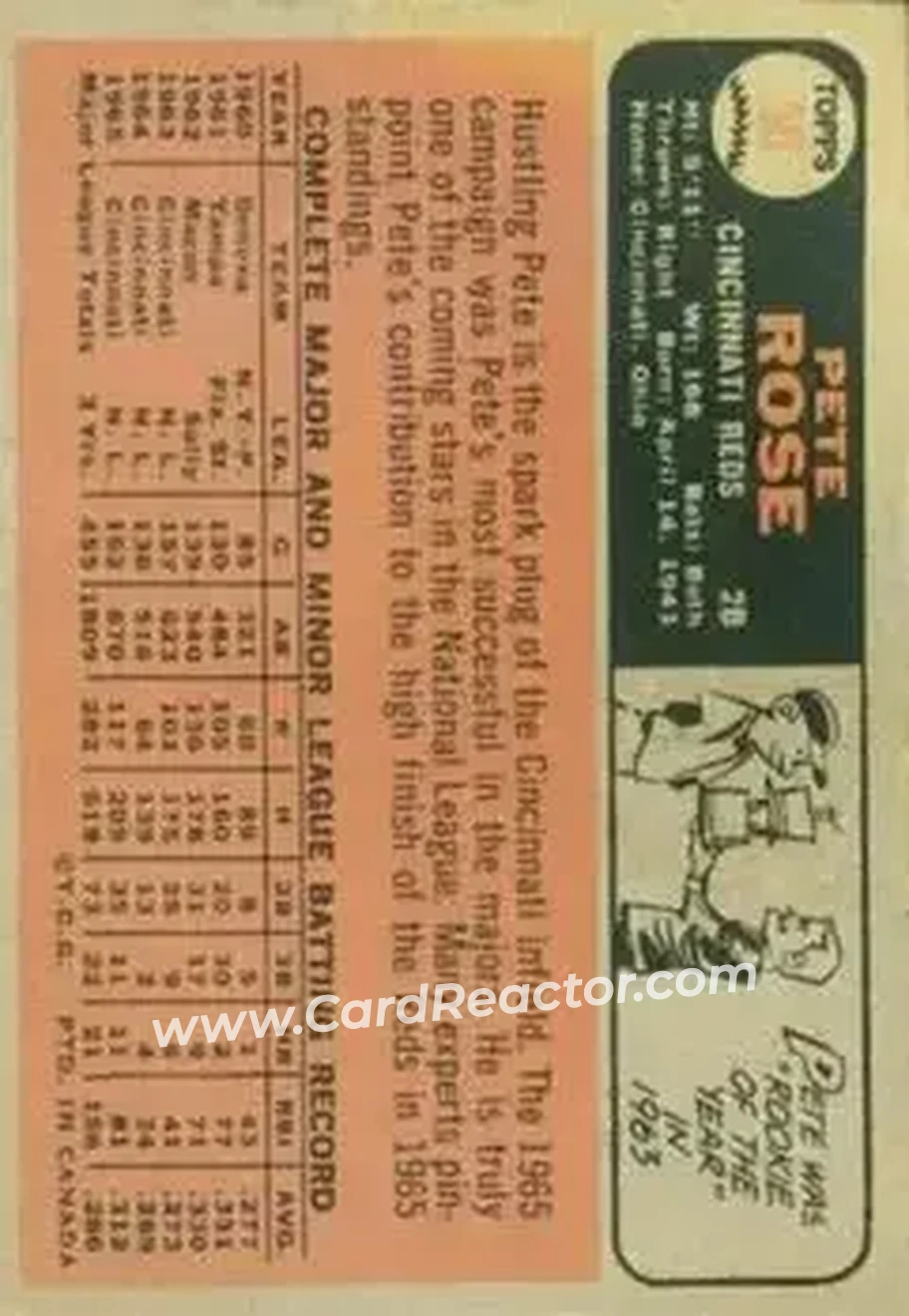 1966 O-Pee-Chee #30 - Pete Rose - Cincinnati Reds - Back