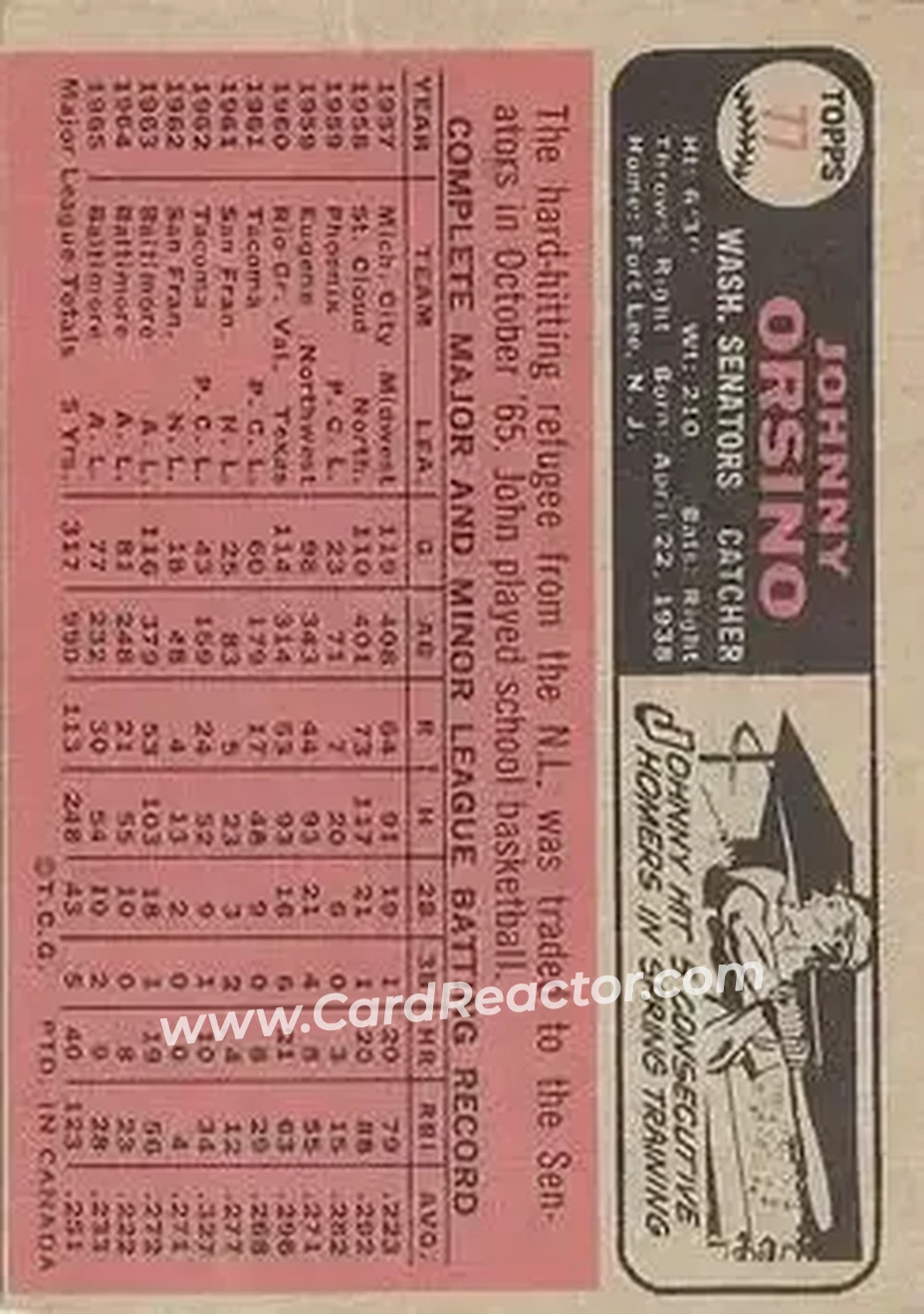 1966 O-Pee-Chee #77 - Johnny Orsino - Washington Senators - Back