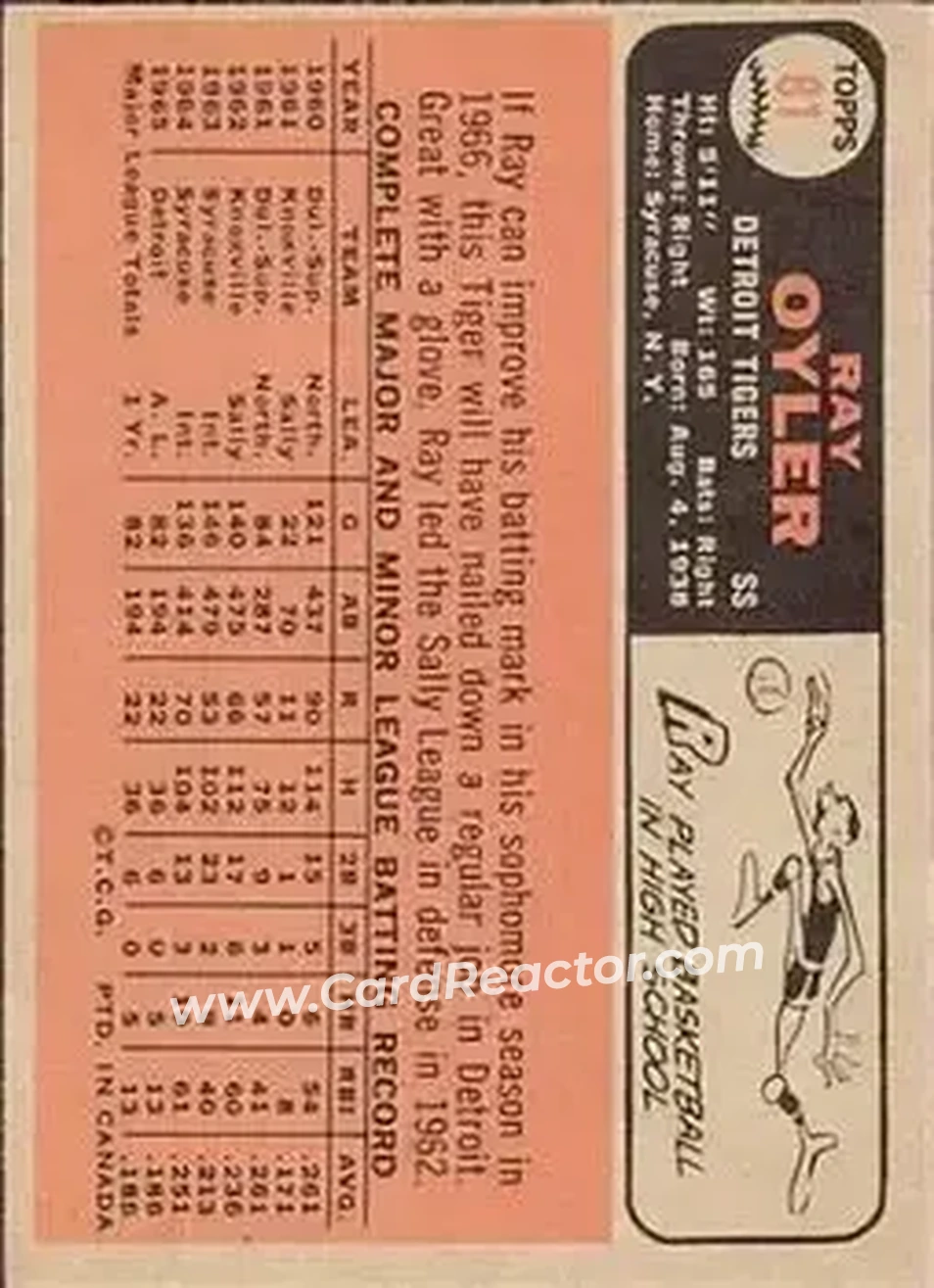 1966 O-Pee-Chee #81 - Ray Oyler - Detroit Tigers - Back