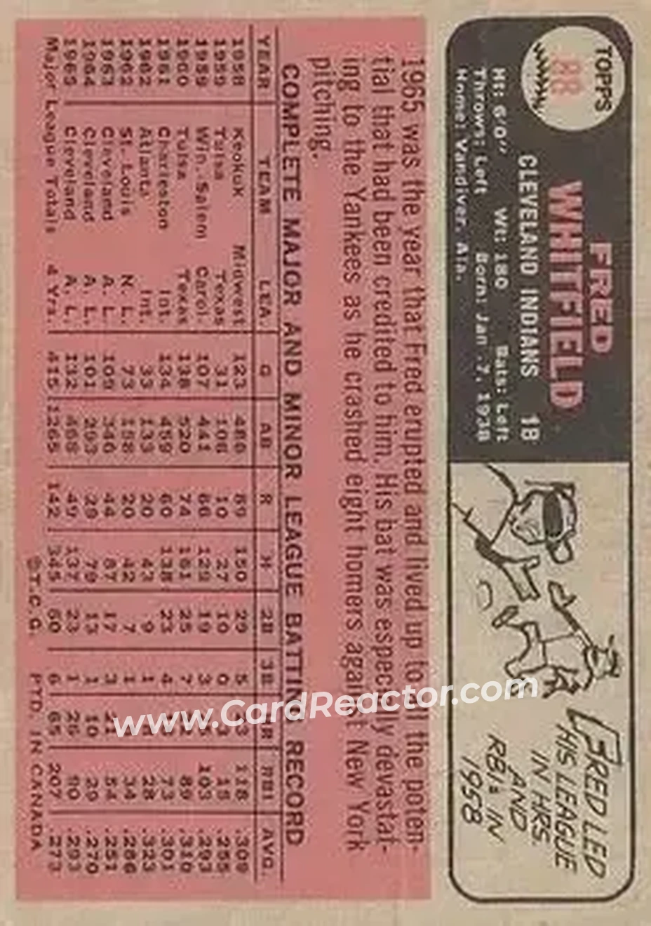 1966 O-Pee-Chee #88 - Fred Whitfield - Cleveland Indians - Back