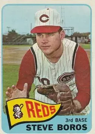 1965 O-Pee-Chee #102 - Steve Boros - Cincinnati Reds