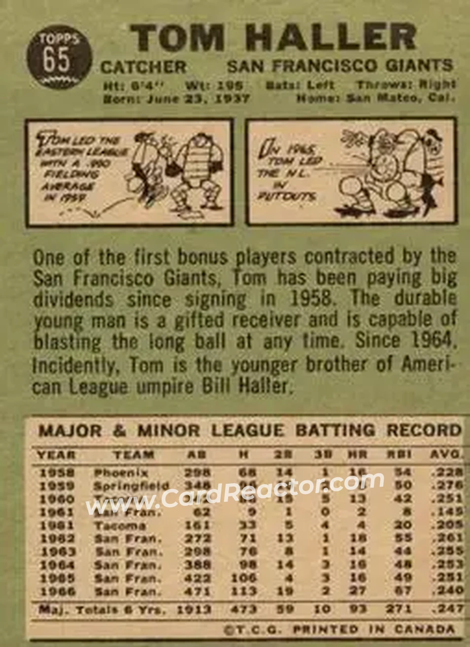 1967 O-Pee-Chee #65 - Tom Haller - San Francisco Giants - Back