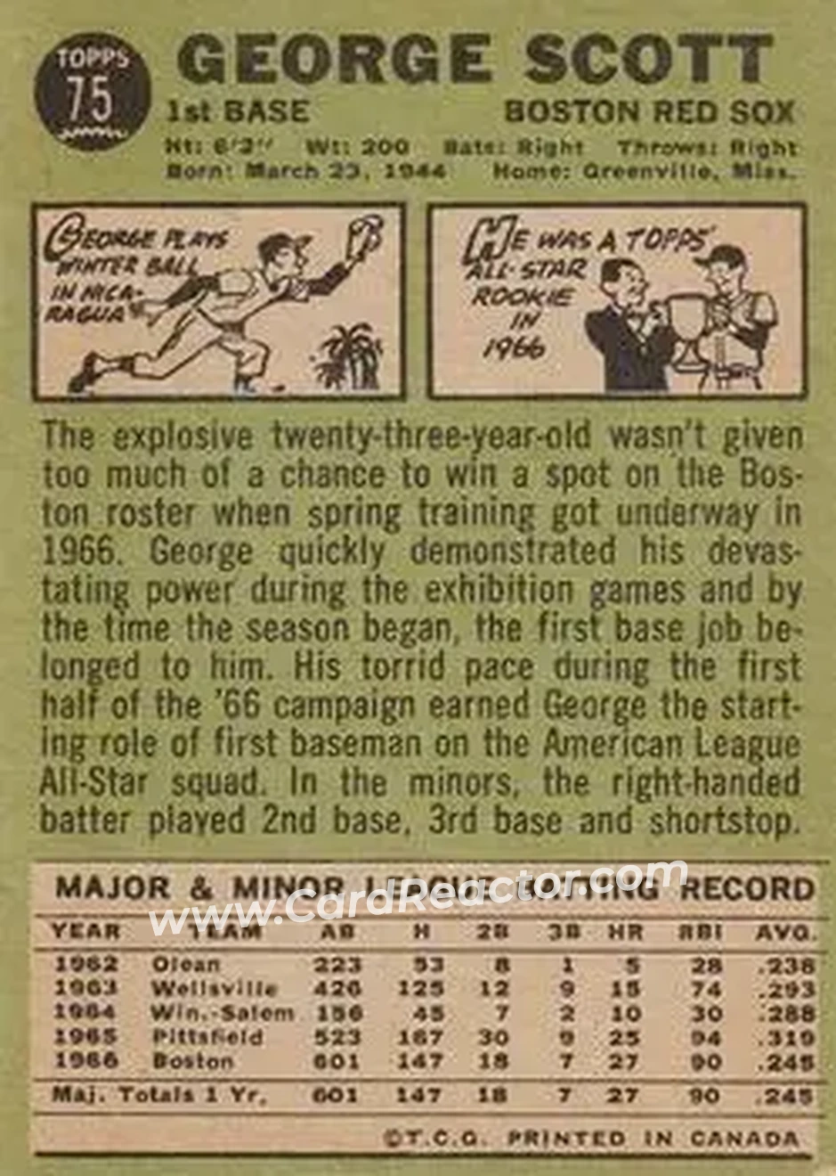 1967 O-Pee-Chee #75 - George Scott - Boston Red Sox - Back 1967 O-Pee-Chee #75 - George Scott - Boston Red Sox - Back