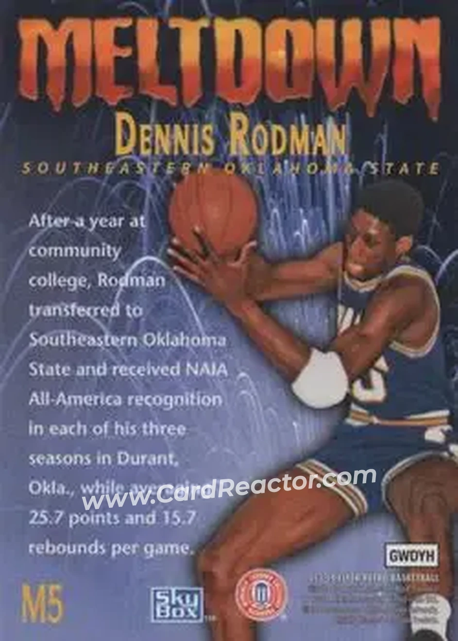 2013-14 Fleer Retro - '95-96 SkyBox Premium Meltdown #M5 - Dennis Rodman - SOSU Savage Storm - Back