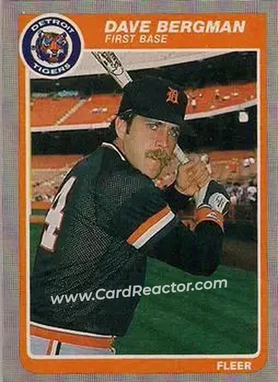 1985 Fleer #3 - Dave Bergman - Detroit Tigers - Front