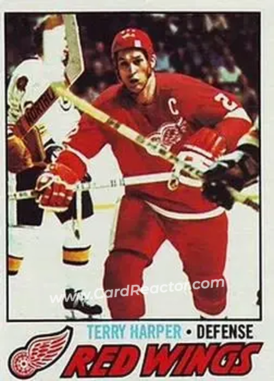 1977-78 Topps #16 - Terry Harper - Detroit Red Wings - Front
