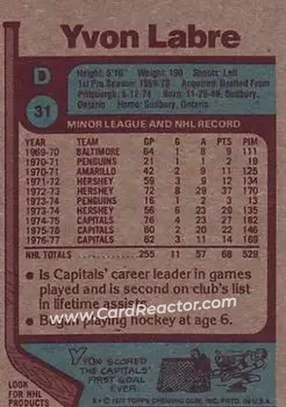1977-78 Topps #31 - Yvon Labre - Washington Capitals - Back