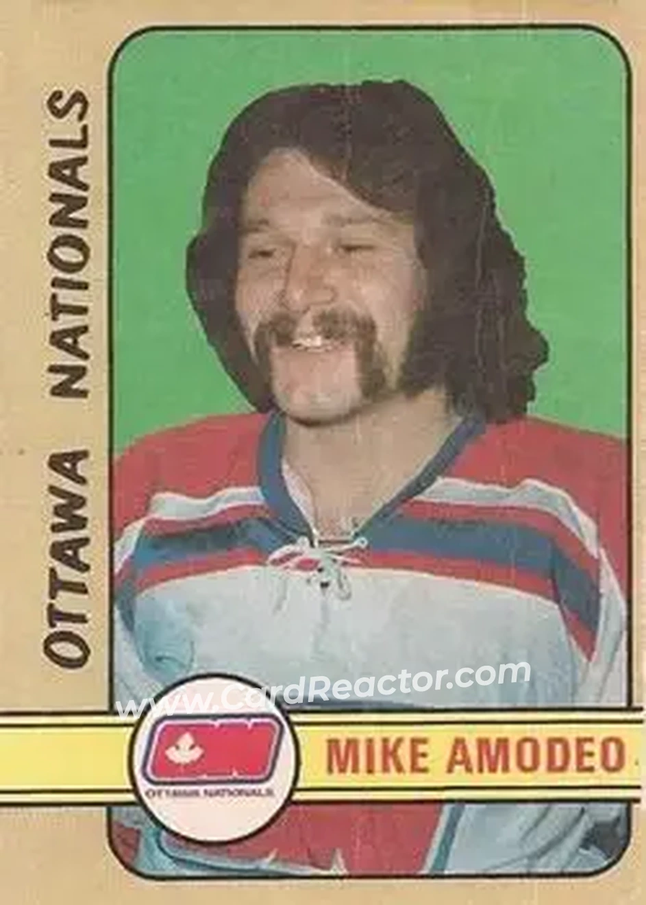 1972-73 O-Pee-Chee #291 - Mike Amodeo - Ottawa Nationals - Front