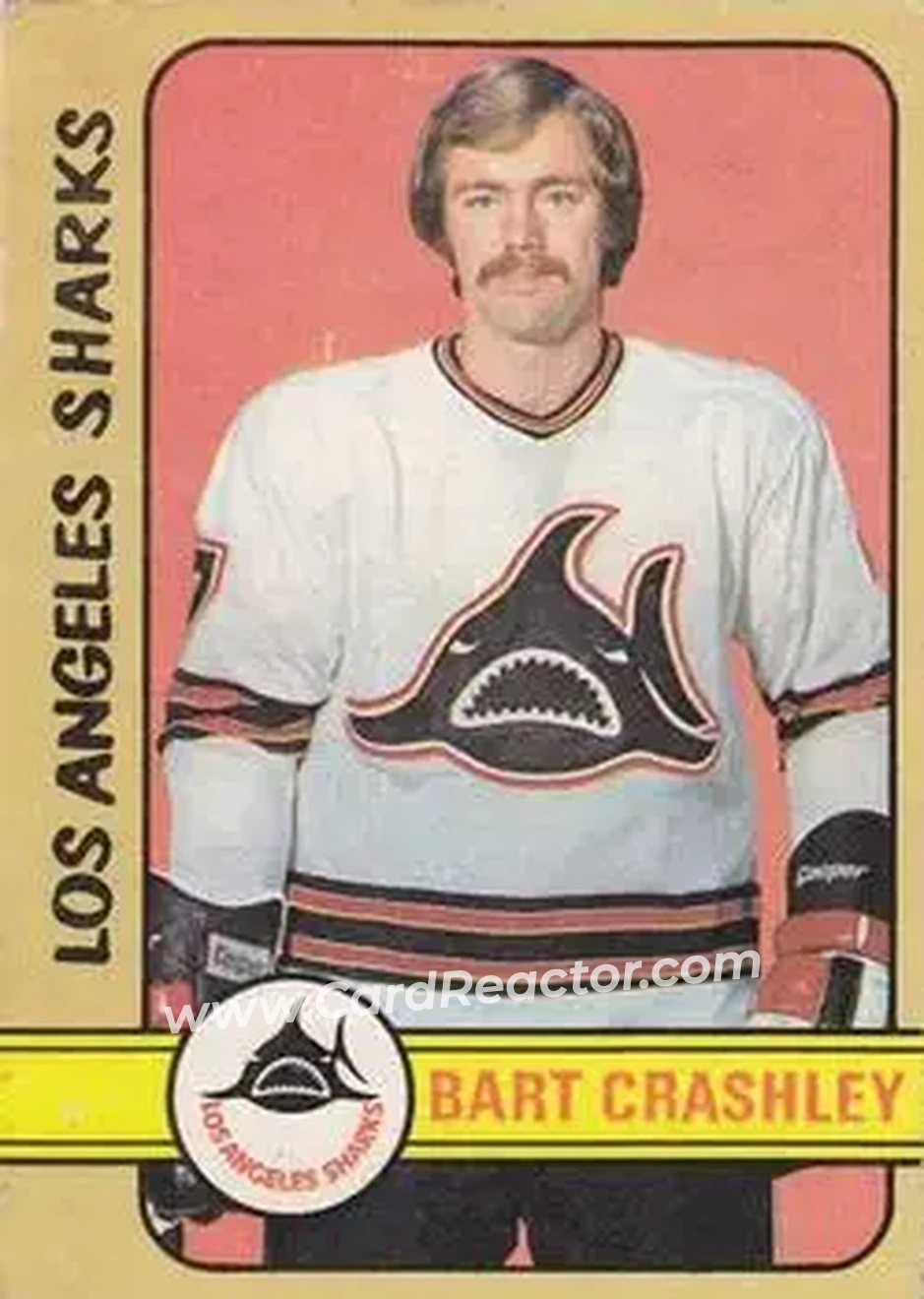 1972-73 O-Pee-Chee #295 - Bart Crashley - Los Angeles Sharks - Front