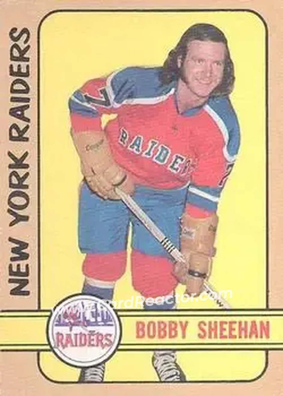 1972-73 O-Pee-Chee #297 - Bobby Sheehan - New York Raiders - Front