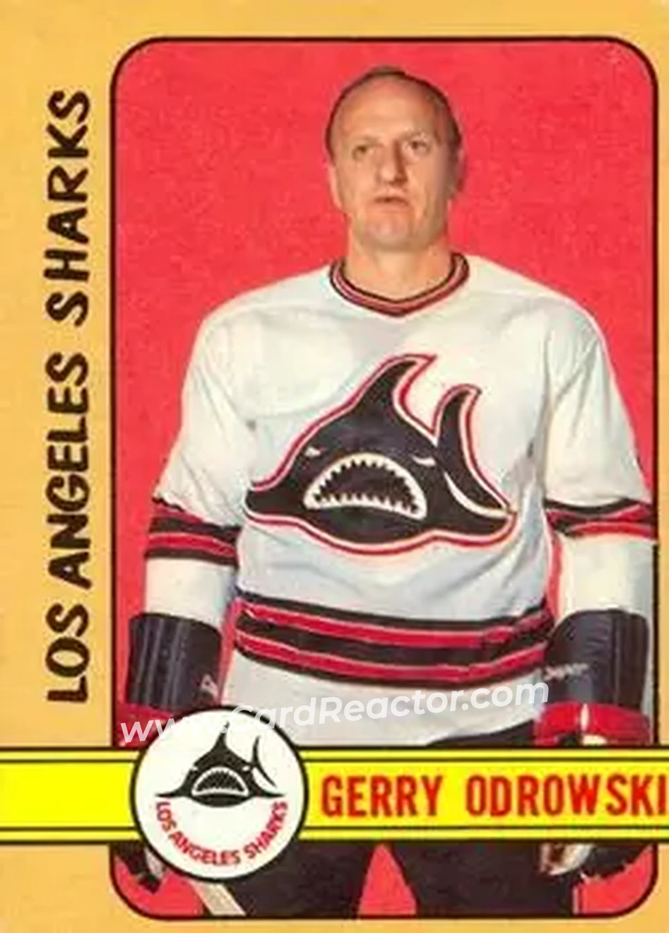 1972-73 O-Pee-Chee #304 - Gerry Odrowski - Los Angeles Sharks - Front