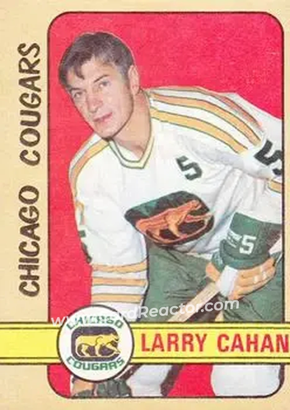 1972-73 O-Pee-Chee #307 - Larry Cahan - Chicago Cougars - Front 1972-73 O-Pee-Chee #307 - Larry Cahan - Chicago Cougars - Front
