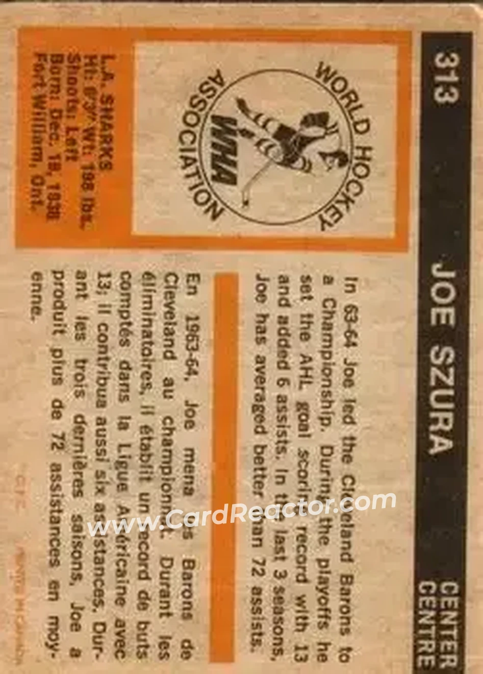 1972-73 O-Pee-Chee #313 - Joe Szura - Los Angeles Sharks - Back 1972-73 O-Pee-Chee #313 - Joe Szura - Los Angeles Sharks - Back