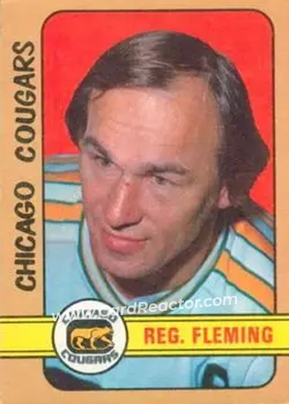 1972-73 O-Pee-Chee #316 - Reg Fleming - Chicago Cougars - Front